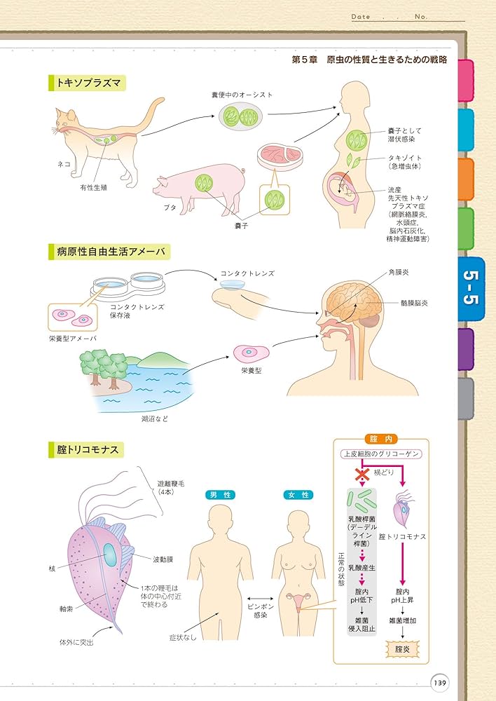 本5冊セット 病み1,3,4 微生物学超入門 液状系製剤学 イラストでわかる微生物学超入門: 病原微生物の感染のしくみ